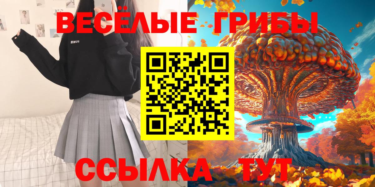 Галлюциногенные грибы прущие грибы  Вход с VPN  Вятские Поляны 